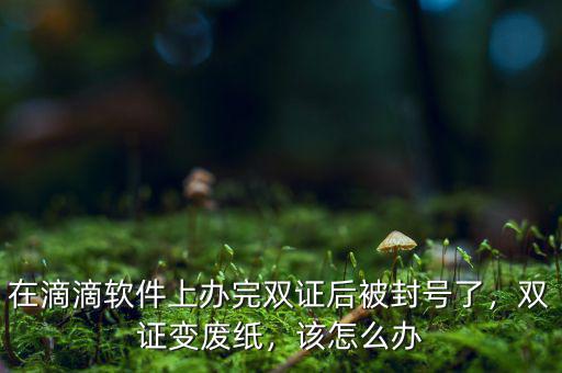 在滴滴軟件上辦完雙證后被封號了，雙證變廢紙，該怎么辦