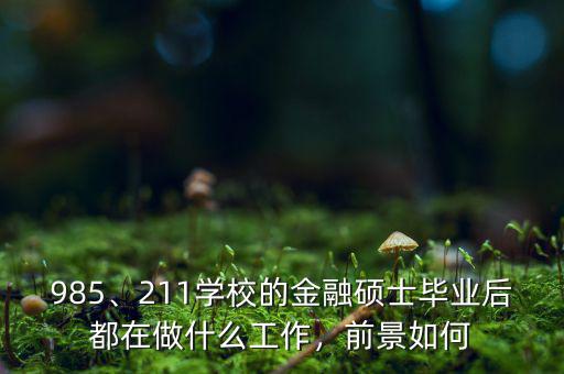985、211學校的金融碩士畢業(yè)后都在做什么工作，前景如何