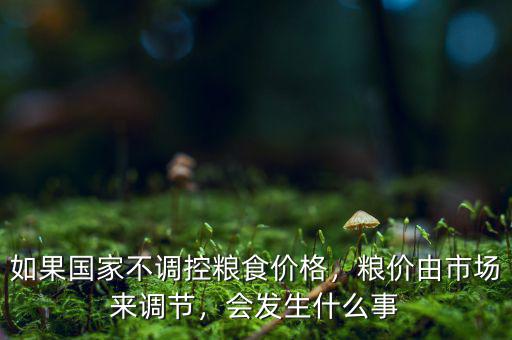 如果國家不調(diào)控糧食價(jià)格，糧價(jià)由市場來調(diào)節(jié)，會發(fā)生什么事