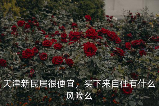 天津新民居很便宜，買下來自住有什么風(fēng)險(xiǎn)么
