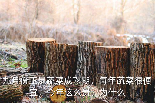 九月份正是蔬菜成熟期，每年蔬菜很便宜，今年這么貴，為什么