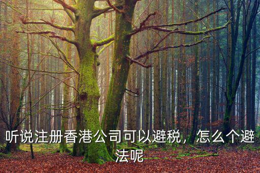 怎么去避稅天堂,BVI被稱作為避稅天堂