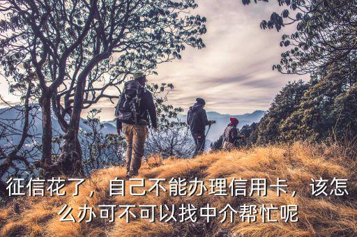 征信花了，自己不能辦理信用卡，該怎么辦可不可以找中介幫忙呢