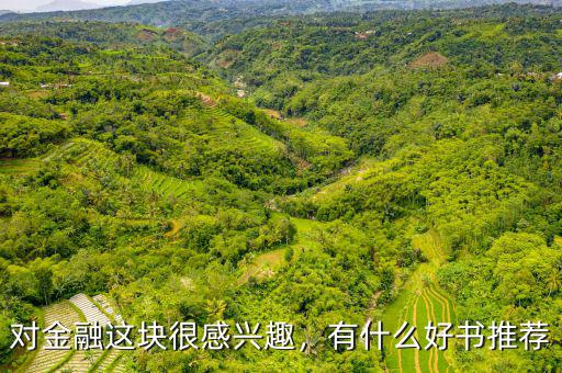 對金融這塊很感興趣，有什么好書推薦