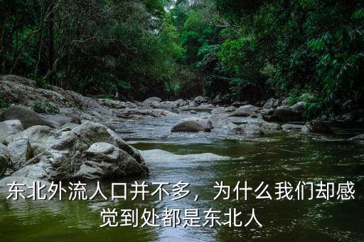 東北外流人口并不多，為什么我們卻感覺到處都是東北人