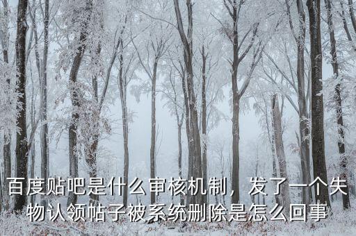 百度貼吧是什么審核機(jī)制，發(fā)了一個(gè)失物認(rèn)領(lǐng)帖子被系統(tǒng)刪除是怎么回事