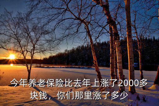 今年養(yǎng)老保險(xiǎn)比去年上漲了2000多塊錢(qián)，你們那里漲了多少