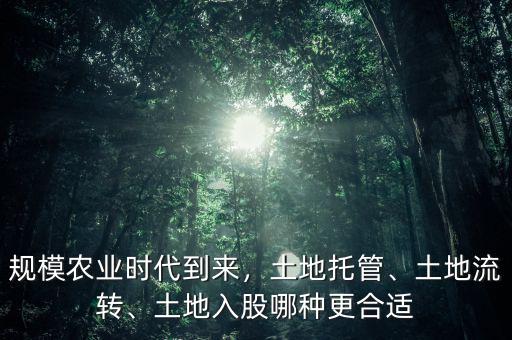 規(guī)模農(nóng)業(yè)時代到來，土地托管、土地流轉、土地入股哪種更合適