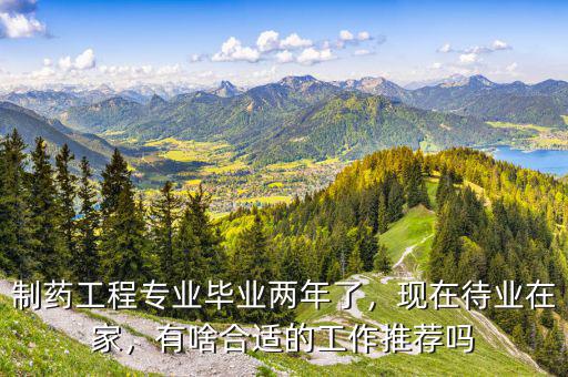 制藥工程專業(yè)畢業(yè)兩年了，現(xiàn)在待業(yè)在家，有啥合適的工作推薦嗎