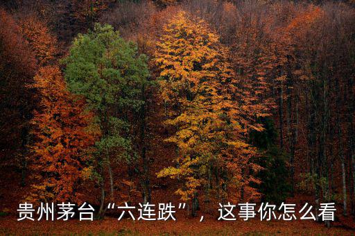 貴州茅臺(tái)“六連跌”，這事你怎么看