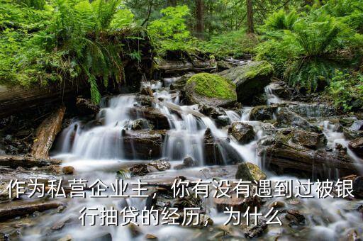 作為私營企業(yè)主，你有沒有遇到過被銀行抽貸的經(jīng)歷，為什么