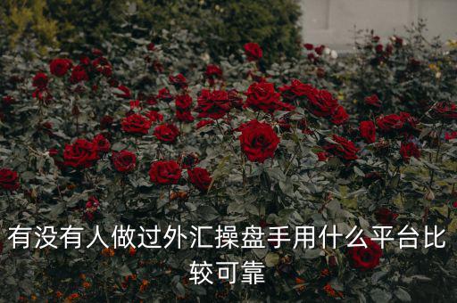 外匯操盤手是什么,最近應(yīng)聘了外匯操盤手的職位