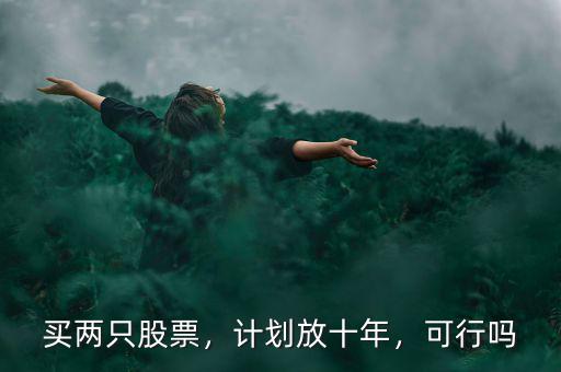 買兩只股票，計劃放十年，可行嗎