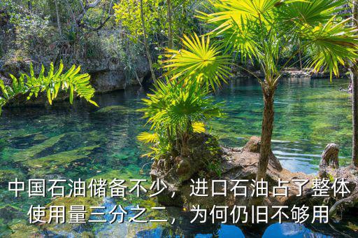 中國(guó)石油儲(chǔ)備不少，進(jìn)口石油占了整體使用量三分之二，為何仍舊不夠用