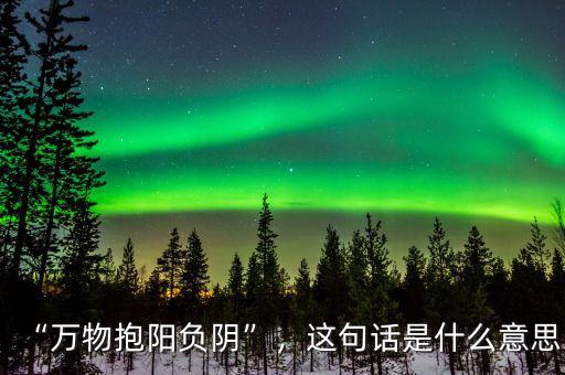 “萬物抱陽負(fù)陰”，這句話是什么意思