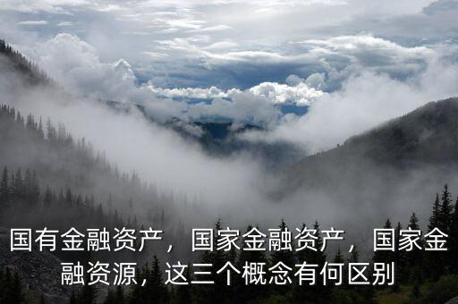 國有金融資產(chǎn)，國家金融資產(chǎn)，國家金融資源，這三個概念有何區(qū)別