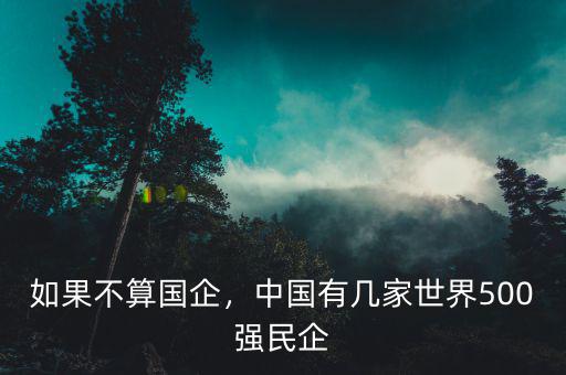 如果不算國(guó)企，中國(guó)有幾家世界500強(qiáng)民企