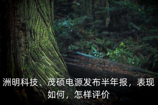 洲明科技、茂碩電源發(fā)布半年報，表現(xiàn)如何，怎樣評價