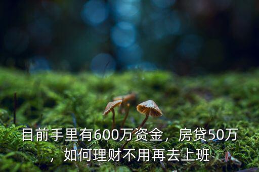 有600萬怎么理財(cái),目前手里有600萬資金