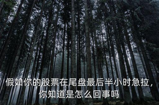 假如你的股票在尾盤最后半小時(shí)急拉，你知道是怎么回事嗎