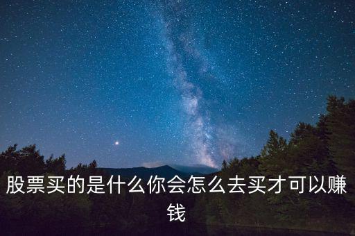 現(xiàn)在買什么股票賺錢,過(guò)去20年買什么股票最賺錢