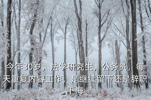 今年30歲，法學(xué)研究生，公務(wù)員，每天重復(fù)內(nèi)容工作，是繼續(xù)留下還是辭職下海