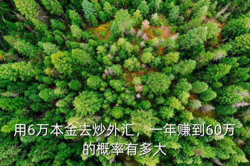 用6萬本金去炒外匯，一年賺到60萬的概率有多大