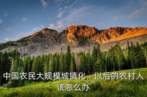 中國農(nóng)民大規(guī)模城鎮(zhèn)化，以后的農(nóng)村人該怎么辦