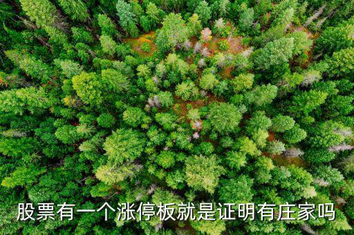 股票有一個漲停板就是證明有莊家嗎