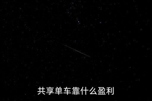 車貓網(wǎng)靠什么盈利,高德導(dǎo)航靠什么收入