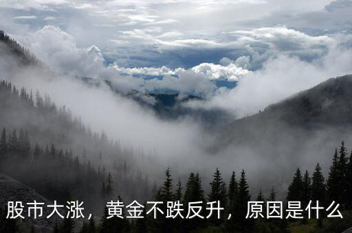 股市大漲，黃金不跌反升，原因是什么