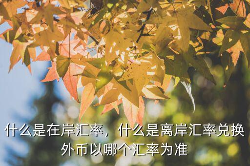 什么是在岸匯率，什么是離岸匯率兌換外幣以哪個(gè)匯率為準(zhǔn)