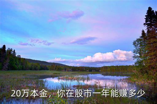 20萬本金，你在股市一年能賺多少