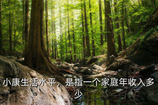 小康生活水平，是指一個(gè)家庭年收入多少