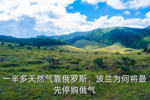 一半多天然氣靠俄羅斯，波蘭為何將最先停購(gòu)俄氣