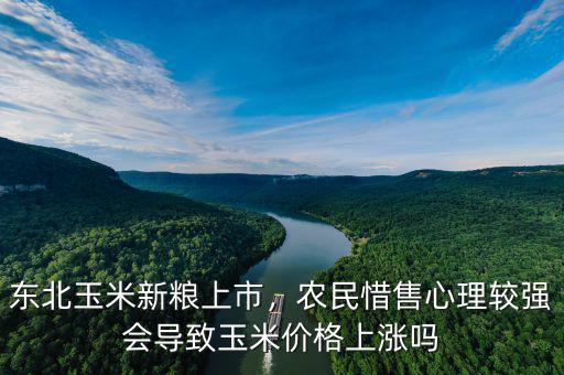 東北玉米新糧上市，農(nóng)民惜售心理較強會導(dǎo)致玉米價格上漲嗎