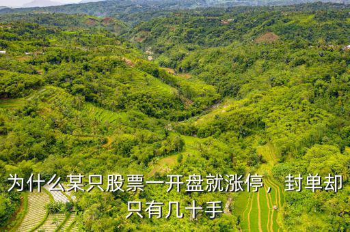 幾十手就可以封漲停是什么原因,是主力故意所為還是什么原因