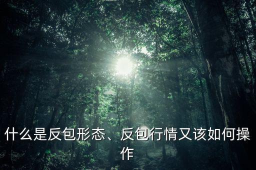 什么是反包形態(tài)、反包行情又該如何操作