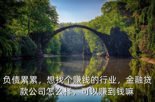 負(fù)債累累，想找個(gè)賺錢(qián)的行業(yè)，金融貸款公司怎么樣，可以賺到錢(qián)嘛