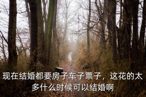 現(xiàn)在結(jié)婚都要房子車子票子，這花的太多什么時候可以結(jié)婚啊