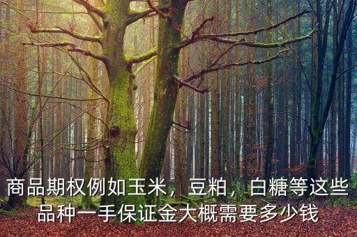 商品期權(quán)例如玉米，豆粕，白糖等這些品種一手保證金大概需要多少錢