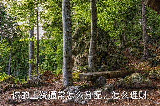 你的工資通常怎么分配，怎么理財