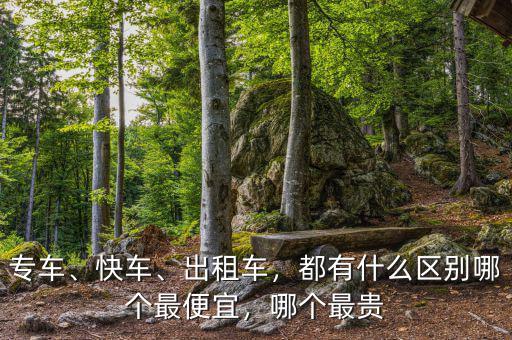 專車、快車、出租車，都有什么區(qū)別哪個(gè)最便宜，哪個(gè)最貴