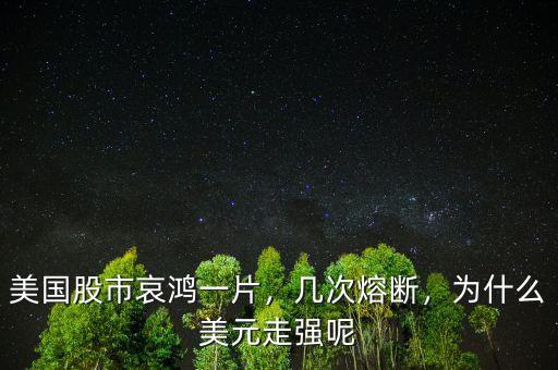 美國股市哀鴻一片，幾次熔斷，為什么美元走強呢