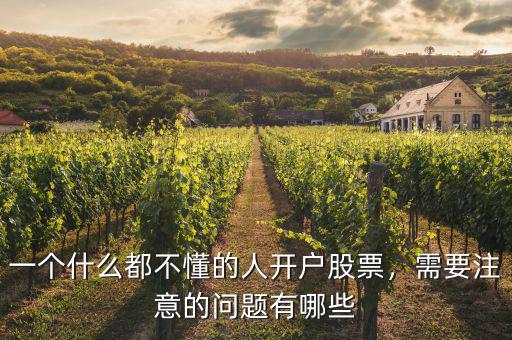 一個什么都不懂的人開戶股票，需要注意的問題有哪些
