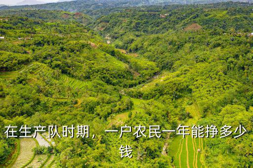 在生產(chǎn)隊(duì)時(shí)期，一戶農(nóng)民一年能掙多少錢