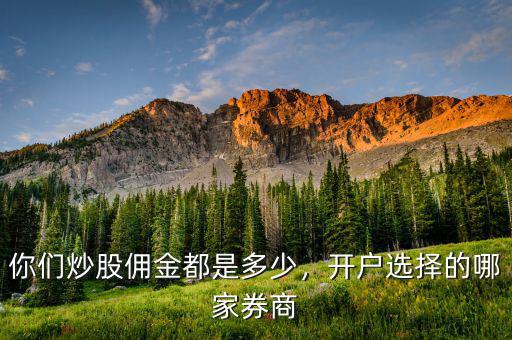 你們炒股傭金都是多少，開戶選擇的哪家券商