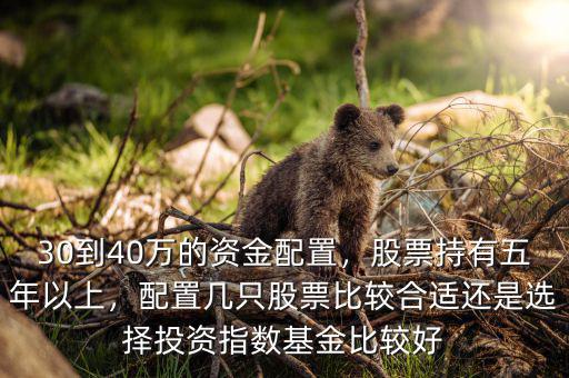 30到40萬的資金配置，股票持有五年以上，配置幾只股票比較合適還是選擇投資指數(shù)基金比較好