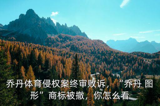 喬丹體育侵權(quán)案終審敗訴，“喬丹 圖形”商標(biāo)被撤，你怎么看