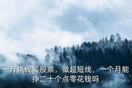 炒美股一個月掙多少錢,一個月能掙二十個點(diǎn)零花錢嗎
